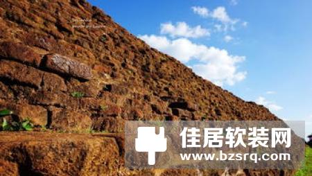 罗马尼亚植物餐厅美翻了 生机盎然典雅宛如丛林天堂