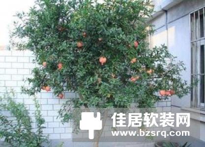 别墅大门风水与什么有关？注意这些千万别乱放