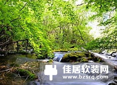 罗马尼亚植物餐厅美翻了 生机盎然典雅宛如丛林天堂