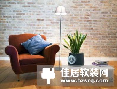 你想象不到的空气净化器 竟然只是个花盆