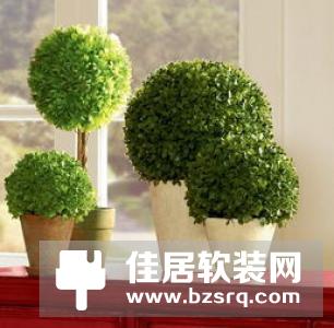老板办公室风水布局|禁忌|植物|摆件 改变运势大全