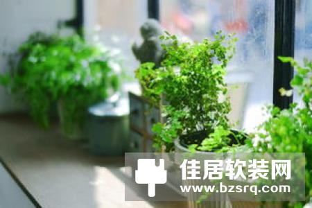 你想象不到的空气净化器 竟然只是个花盆