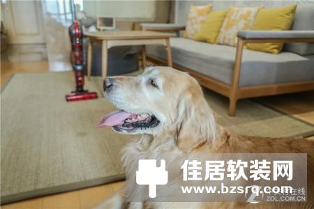 “铲屎官”的最爱 莱克魔洁M8 Lite吸尘器评测