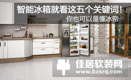 智能冰箱就看这五个关键词！你也可以是懂冰帝
