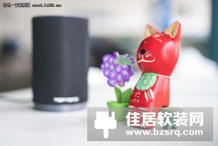 TOPPERS智能音箱S1体验：海量资源AI管家
