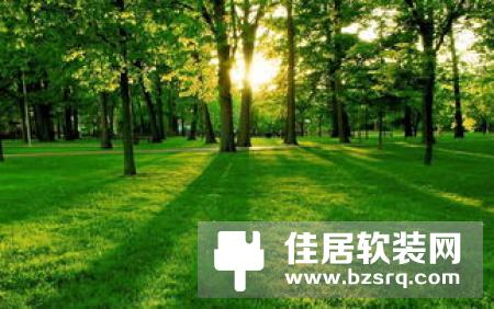 LG W7 OLED电视体验评测：薄如壁纸 炫如风景
