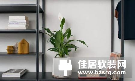 NATEDE智能净化器来了，可以养植物还能自动浇水