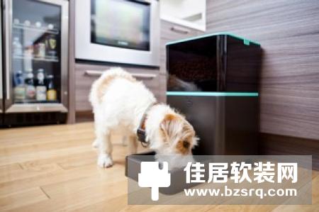 小米一月内两次投资猫狗品牌，宠物智能家居或成新风口