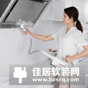 德尔玛蒸汽清洁机小米众筹，高温蒸汽强力祛污杀菌！