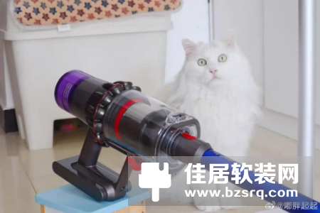 吸尘器十大排名：赢得消费者口碑的吸尘器哪个牌子好？